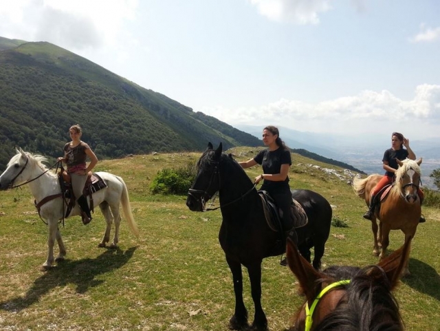  En groupe avec les chevaux 